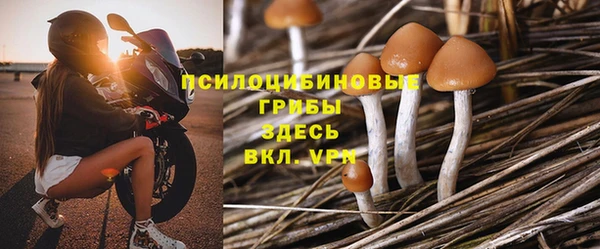 марки lsd Беломорск