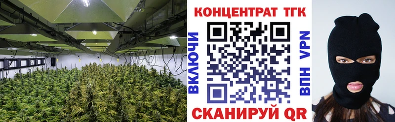 ТГК гашишное масло  Южа 