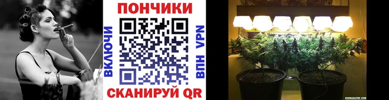 как найти закладки  гидра ТОР  Конопля Ganja  Южа 